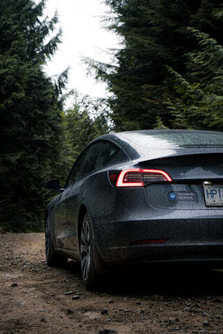 Tesla in the Woods